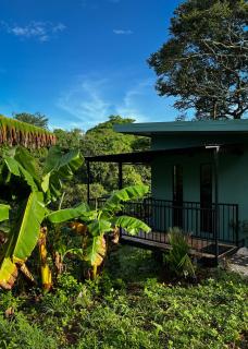 Tropical Forest Experience with Hot Tub & Terrace - 0