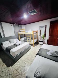 Hotel Aurea - 6