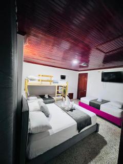 Hotel Aurea - 8