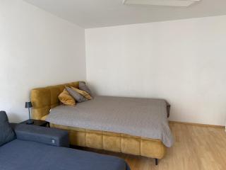 Central 2 Bedroom Apartment with Free Parking - 9