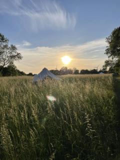 Glamping Mellem-Rummet Retreat 1 - Atmosfære - 0