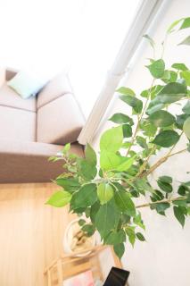 Apartment Hotel Tenjin TUMUGU / Vacation STAY 62181 - 6