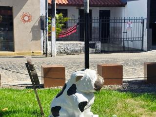 A casa da Praça - 9