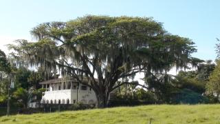 Historic and colonial house - 8