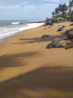 Beach villa - 2