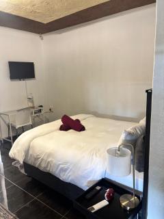 BTV Villa - 4