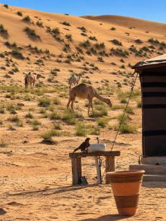 Desert Diamond Private Camp - 3