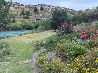 Roxburgh Retro Retreat - 5