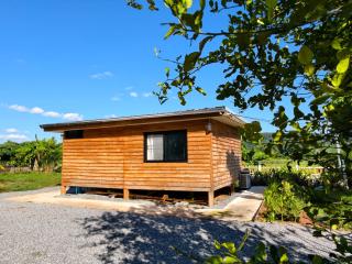 Sunshine Cabin - 2