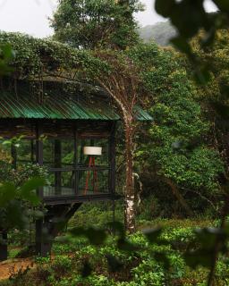 The Rainforest Ecolodge - Sinharaja with Shuttle Service from Car Park - 6