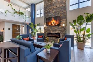 Comfort Suites St Louis - Sunset Hills - 5