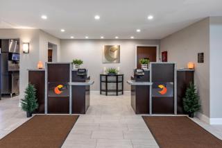 Comfort Suites St Louis - Sunset Hills - 3