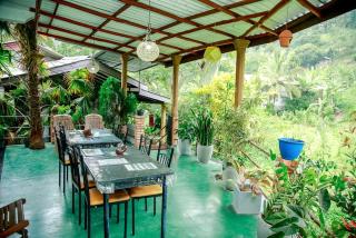 Serenity Homestay - 6