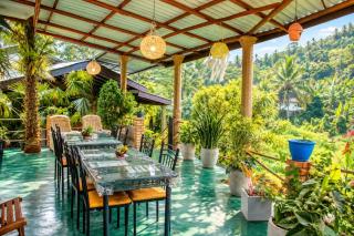Serenity Homestay - 4