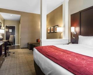 Comfort Suites-Youngstown North - 4