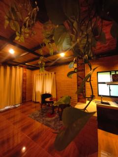 Small Miracle Cabana - 6