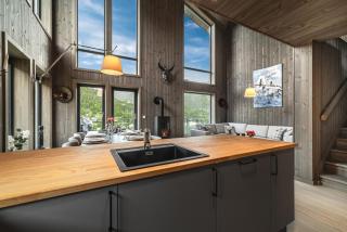New Hemsedal ski in-ski out apartment - 1