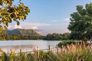 SaffronStays Lake House Marigold - 4 individual cottages with plunge pools near Sula Vineyard, Nashik - 9
