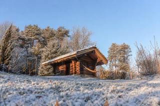 WoodMood - 0