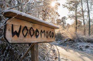 WoodMood - 3