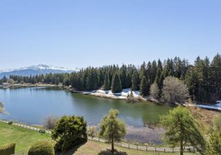 Lake View Retreat by Mrs Miggins - 4