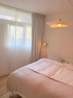 Scandic Design in Newly Renovated Apartment - 4