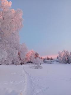 A Scandinavian home for a family with children - 1