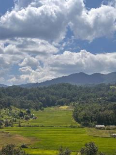 ม่านเวหา Marn Veha - 5