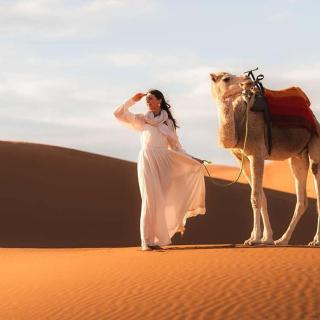 Sahara Origins Camp - 8