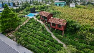 Đồi Khí Tượng Mộc Châu Homestay - 1
