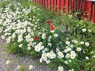 4 star holiday home in Odensvi - 8