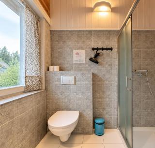 Plateliai Lake View Room - 1