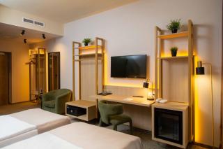 Rubin Wellness & Conference Hotel - 8