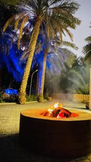 Breeze oasis - 9