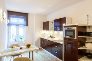 Geräumiges Apartment in der Dresdner Neustadt - 1