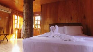 Borneo Tree House - 1
