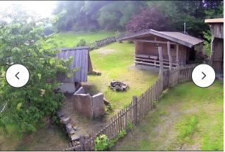 Beim Haidl - Urlaub am Bauernhof - 3