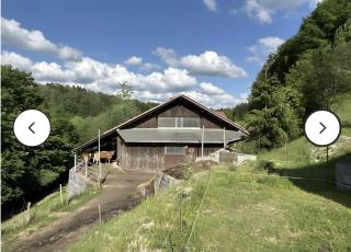 Beim Haidl - Urlaub am Bauernhof - 7