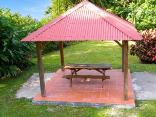 Maison charmante à Gros-Morne avec terrasse et jardin - 3
