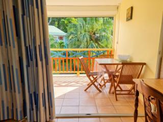 Studio charmant à Sainte-Anne de 25 m² avec terrasse et jardin. - Sainte-Anne - 6
