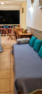 Studio charmant à Sainte-Anne de 25 m² avec terrasse et jardin. - Sainte-Anne - 1