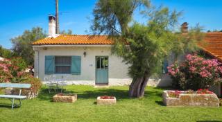 Charmante maison en Camargue avec piscine partagée - 0