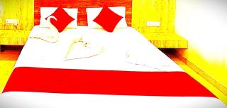 Hotel Sai Raj Puri - 0