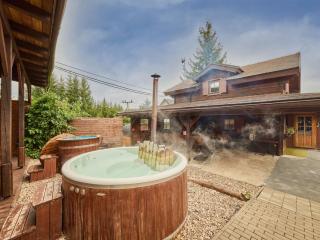 Holiday Home Pod Liščím kopcem 4-4 by Interhome - 0