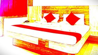 Hotel Sai Raj Puri - 2