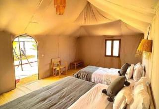 Merzouga Best Camp - 0