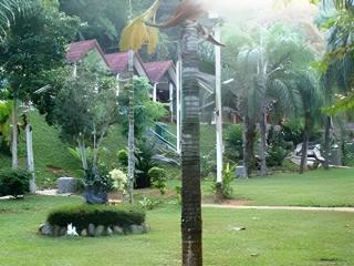 Buakum Resort - Golden Triangle - 1