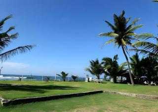 South Beach Resort - 5
