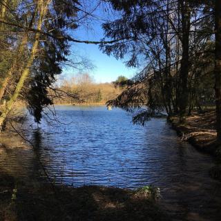 Domein Le Staise - Privé vijver & natuur - 8