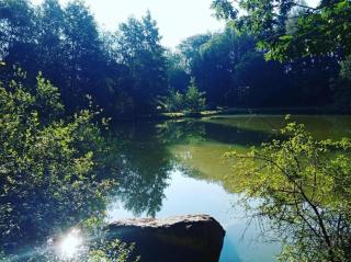 Domein Le Staise - Privé vijver & natuur - 7